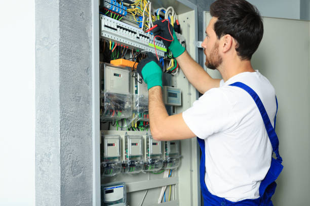Best Ceiling Fan Installation Electrician  in Selmer, TN